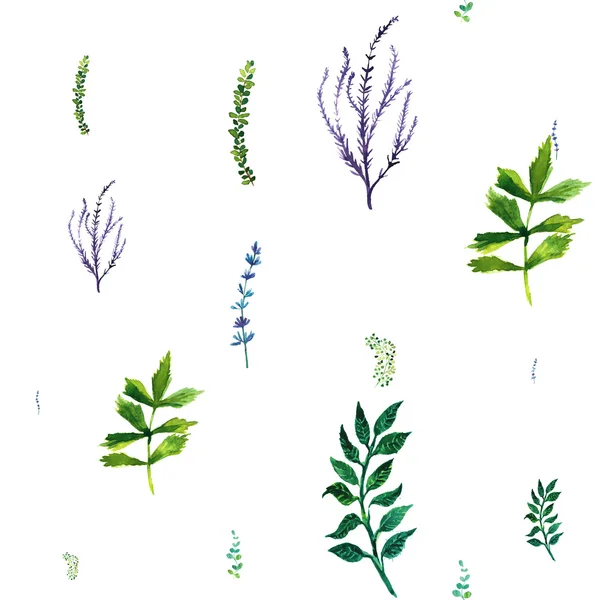 Watercolor seamless pattern with herbs and leaves. — Stock Photo, Image