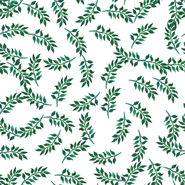 Watercolor seamless pattern with herbs and leaves. — Stock Photo, Image