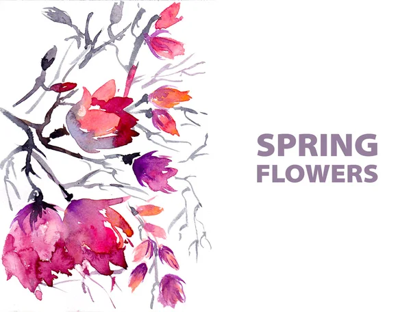 Aquarela flores da primavera — Fotografia de Stock