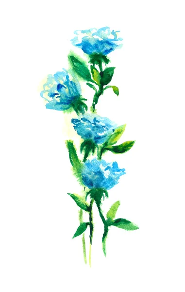 Blaue Rosen. Aquarellzeichnung — Stockvektor