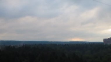 Çam ormanı üzerinde bulutlu gökyüzü rüzgarlı bir günde. Timelapse.