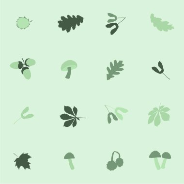 Sonbahar ormanı akçaağaç yaprakları kestane mantarları meşe palamutları çekici, sevimli, güneşsiz yeşil desenler.