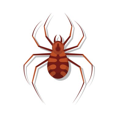 Örümcek vektör tasarımı çizimi beyaz arkaplanda izole edildi