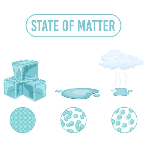State Matter Vector Design Illustration Isolated White Backgroumd — Stock Vector