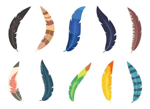 Colored Feather Set Vector Design Illustration Isoalted White Background — 스톡 벡터