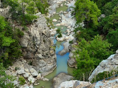 Bereketli yeşil ormanlarla çevrili kayalık bir kanyonda kıvrılan bir dağ nehrinin manzarası. Büyük taş oluşumları arasında akan temiz su barışçıl bir doğal manzara yaratır. Yaban hayatı kavramı, seyahat yeri, ekoloji