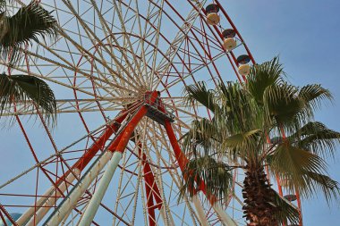 Mavi ve beyaz kamaralı, palmiye ağaçlarının yanında duran devasa bir dönme dolabın parlak bir açılışı. Açık mavi gökyüzüne bakan bu görüntü, bir sahil beldesinin ya da bir lunaparkın canlı atmosferini yakalar..