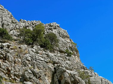 Derin bir dağ geçidinin geniş dikey perspektifi. Sol tarafta, büyük, desenli kireçtaşı uçurumlar var, karşı yamaçta ise gür, yoğun bir çam ormanı var. Açık, parlak mavi gökyüzü çarpıcı bir karşıtlık sunar