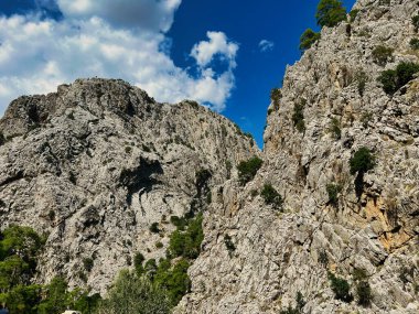 Derin bir dağ geçidinin geniş dikey perspektifi. Sol tarafta, büyük, desenli kireçtaşı uçurumlar var, karşı yamaçta ise gür, yoğun bir çam ormanı var. Açık, parlak mavi gökyüzü çarpıcı bir karşıtlık sunar