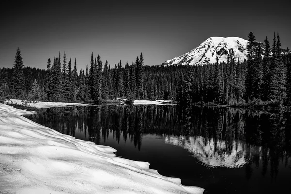 Mount Rainier Reflection — Stock Photo, Image