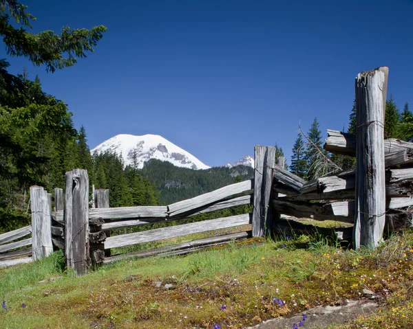 Cerca de ferrocarril dividido Mt Rainier —  Fotos de Stock