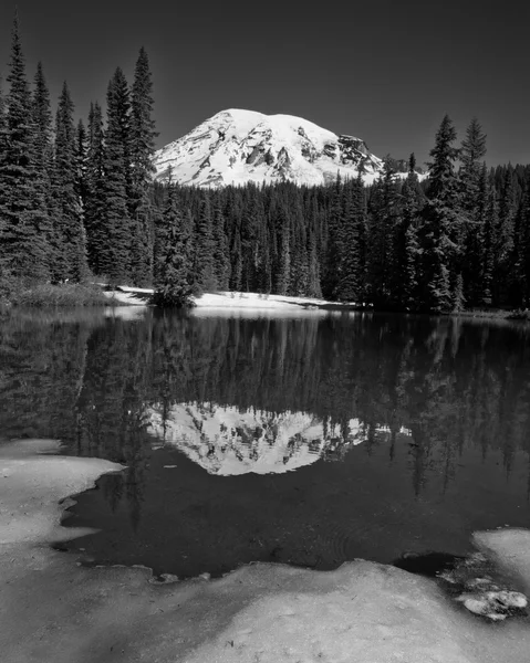 Monte Rainier riflesso in un lago di alta montagna in bianco e nero — Foto Stock