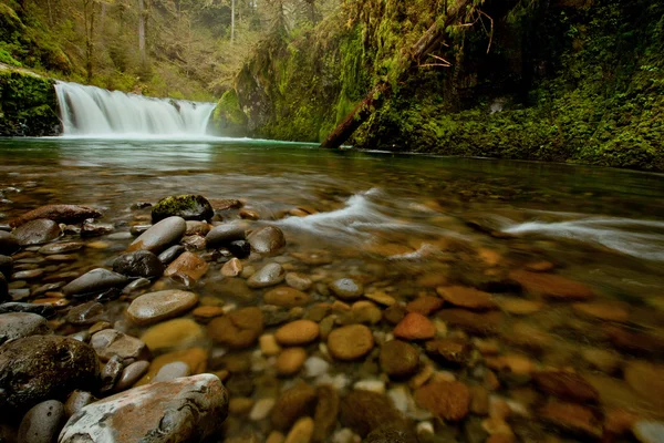 Columbia Gorge şelale