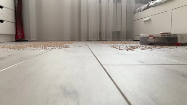 Robot vysavač účinně čistí podlahu — Stock video