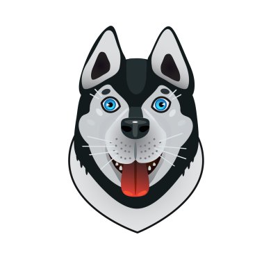 Husky köpek arkadaş