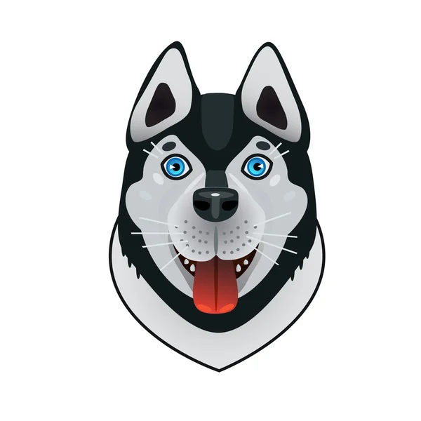 Husky köpek arkadaş