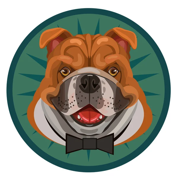 Bulldog in a bow tie — Stock Vector