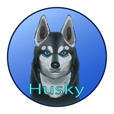 köpek Husky gözleri gökyüzü