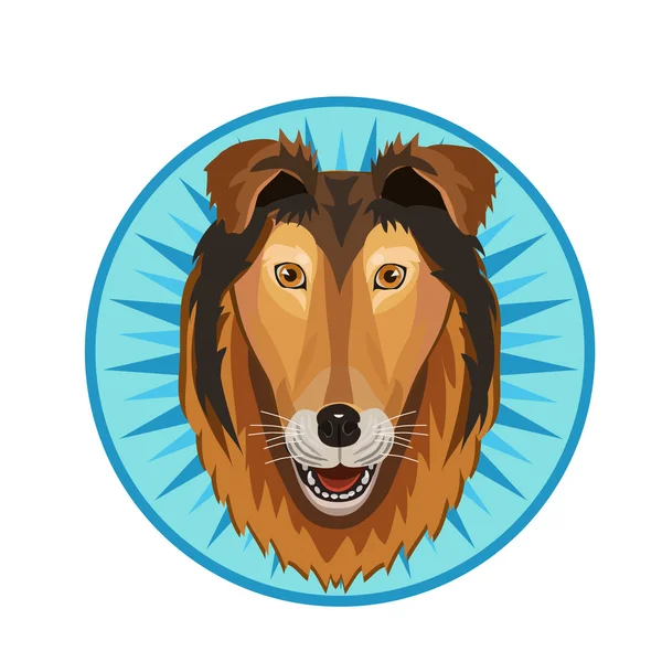 Ikona kolie pes — Stockový vektor