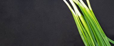 Koyu izole bir zemin üzerinde yeşil soğan tüyleri ve metnin için boş bir boşluk.