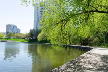 Baharın başında büyük bir 