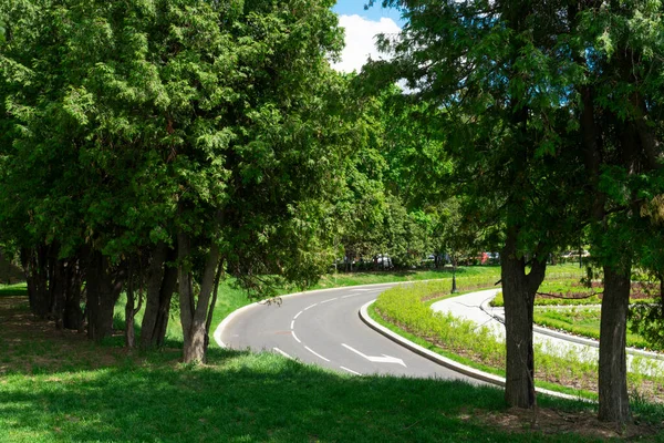 Kuzey Nehri İstasyonu yakınlarındaki Moskova 'da yeşil bir parkın ortasında işaretli Paved yolu.
