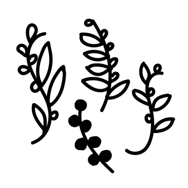 Ilustração vetorial de um conjunto de galhos no estilo doodle em um fundo isolado branco — Vetor de Stock