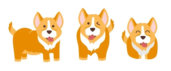 Conjunto de corgi engraçado de 3 cães, ilustração vetorial em um estilo plano. Para uso na impressão de lembranças, cartões postais e têxteis. —  Vetores de Stock