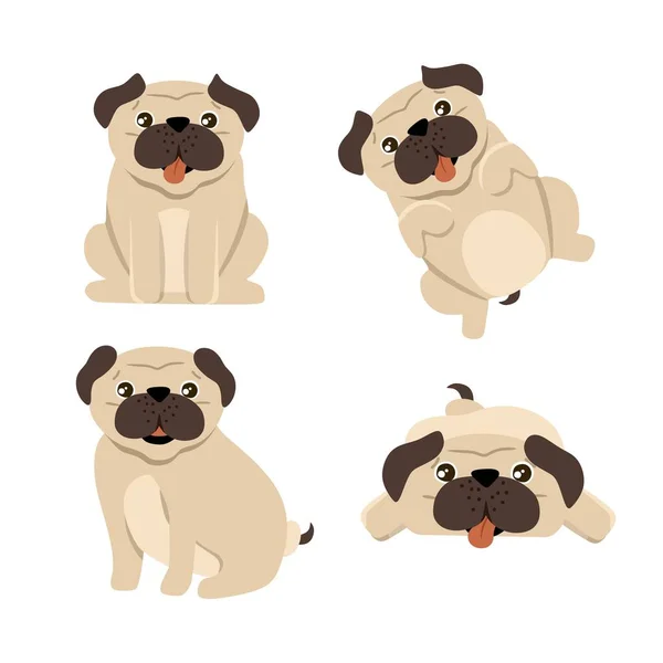 Rolig mops uppsättning av 4 hundar, vektor illustration i en platt stil. För utskrift av souvenirer, vykort och textilier. — Stock vektor