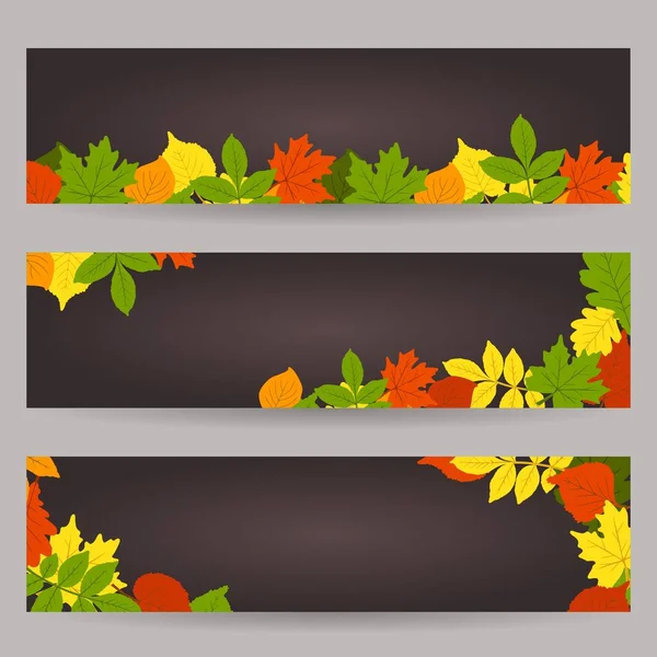 The poster is a fashionable autumn theme set. The leaves are oak, birch, aspen, maple. Space for copying. Applicable for printing, posters, postcards, websites.Vector illustration. — Stock Vector