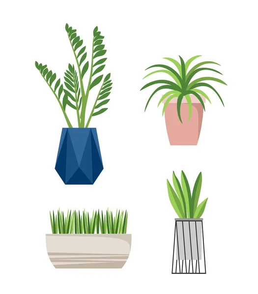 Ensemble Plantes Intérieur Mode Pour Maison Isolé Sur Fond Blanc — Image vectorielle