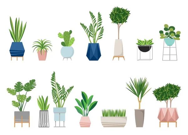 Ensemble Plantes Intérieur Mode Pour Maison Isolé Sur Fond Blanc — Image vectorielle