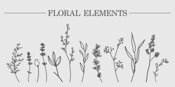 Croquis Dessiné Main Éléments Vectoriels Végétaux Lauriers Feuilles Fleurs Branches — Image vectorielle