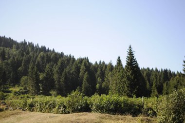 1450-1500 metre yüksekliğindeki Hdrnebi Platosu, Karadeniz 'de aranan ve tercih edilen en önemli tatil kasabalarından biridir..