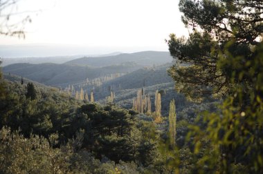 En yüksek oksijen, Kazdaglari ulusal parkında hindinin yeşil renklerine sahiptir. Edremit 'te bulunan Kazdaglari Milli Parkı. . 