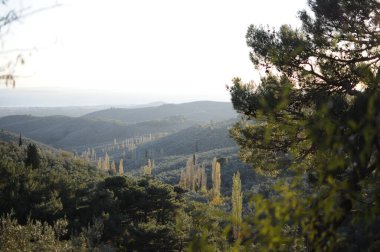 En yüksek oksijen, Kazdaglari ulusal parkında hindinin yeşil renklerine sahiptir. Edremit 'te bulunan Kazdaglari Milli Parkı. . 
