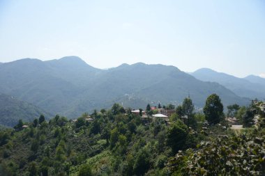 GRESUN, TURKEY - 27 Ağustos 2018; Eski köyde arka planda dağlar olan geleneksel bir karasu depolama (serenti) manzarası 
