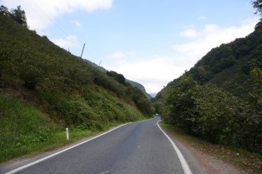 Fındık Dağı ve Türkiye 'nin kuzeyindeki Karadeniz bölgesinde birlikte yeşil bir yol.