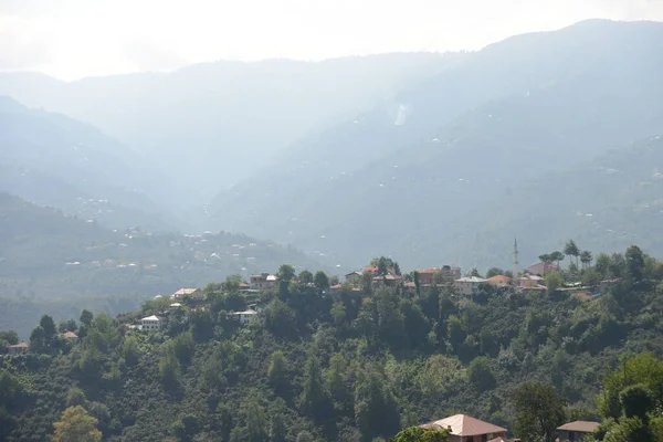 Gresun Turkey August 2018黒人地域の晴れた日にヘイゼルナッツ山と小さな村 Piraziz Kilili の景色 — ストック写真