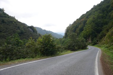 Fındık Dağı ve Türkiye 'nin kuzeyindeki Karadeniz bölgesinde birlikte yeşil bir yol.