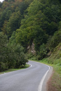 Fındık Dağı ve Türkiye 'nin kuzeyindeki Karadeniz bölgesinde birlikte yeşil bir yol.