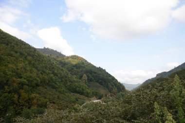 Fındık Dağı ve Türkiye 'nin kuzeyindeki Karadeniz bölgesinde birlikte yeşil bir yol.
