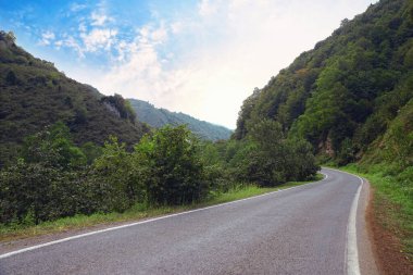 Fındık Dağı ve Türkiye 'nin kuzeyindeki Karadeniz bölgesinde birlikte yeşil bir yol.