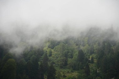 RIZE, TURKEY - 31 Ağustos 2018: Camlihemsin, Rize 'deki ünlü Ayder Platosu manzarası. Ayder Platosu 1350 metre yüksekliğindeki ahşap dağ evleriyle geniş bir çayır alanına sahiptir..