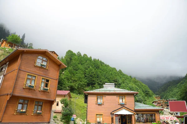 Ayder Platear Rize トルコ Ayder ValleyはRizeとArtvinの間にあります 夏の観光のための人気のある目的地 — ストック写真