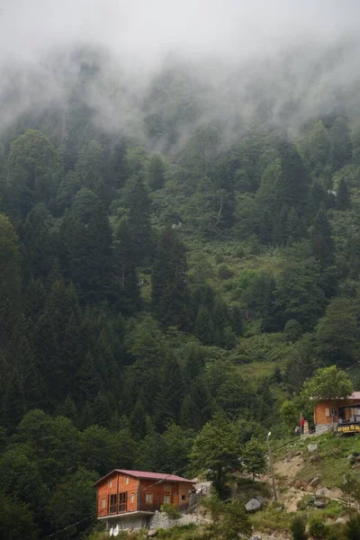 Ayder Plateau Rize Turkiet Ayder Dalen Ligger Mellan Rize Och — Stockfoto