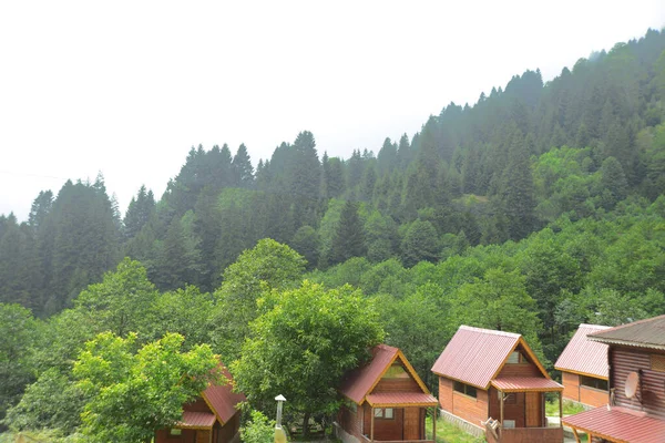 Rize Turkey 2018年8月31日 Camlihemsin Rizeの有名なAyder高原の一般的な風景 Ayder高原には 350メートルの高さの木造住宅がある広い牧草地エリアがあります — ストック写真