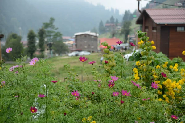 Наводнение Переднем Плане Ландшафтом Плато Айдер Ризе Севере Турции Yayla — стоковое фото