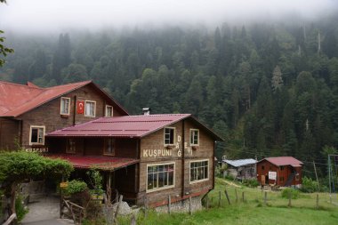 RIZE, TURKEY - 31 Ağustos 2018: Camlihemsin, Rize 'deki ünlü Ayder Platosu manzarası. Ayder Platosu 1350 metre yüksekliğindeki ahşap dağ evleriyle geniş bir çayır alanına sahiptir..