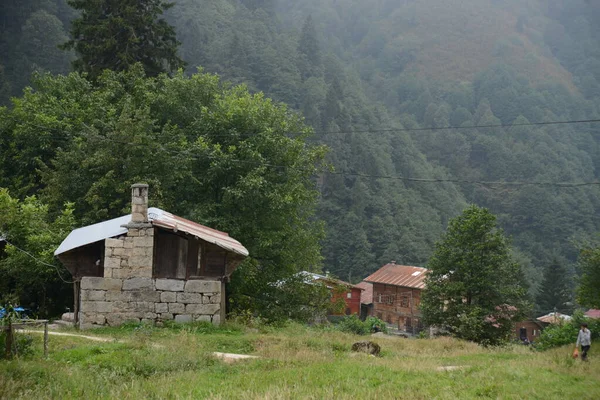 Rize Turkey Sierpnia 2018 Ogólny Widok Krajobraz Słynnego Płaskowyżu Ayder — Zdjęcie stockowe